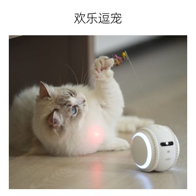 宠物机器人-逗宠