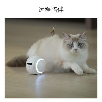 宠物机器人-陪伴